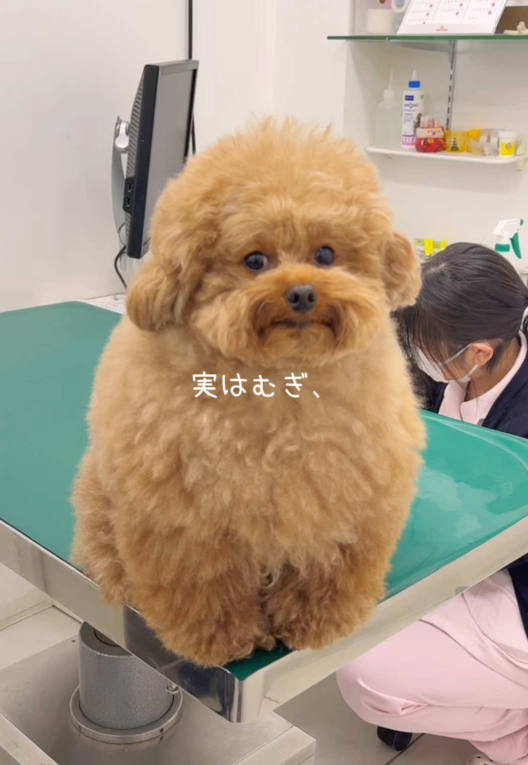 @ããð«ð§ž