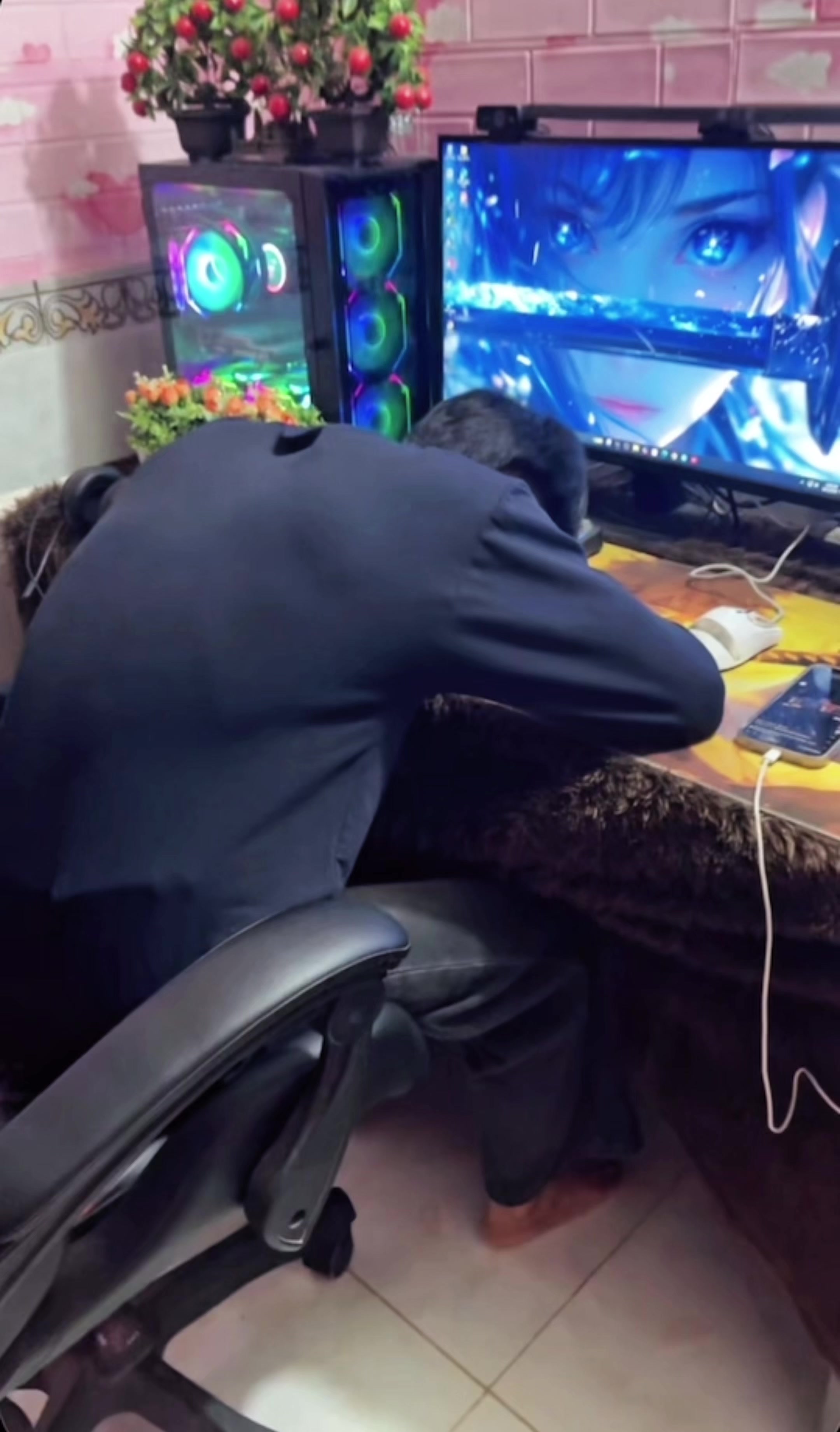 @๐ฝ๐ฐ๐บ๐ฐ ๐ฟ๐๐ณ๐ฐ ๐ต๐ต
