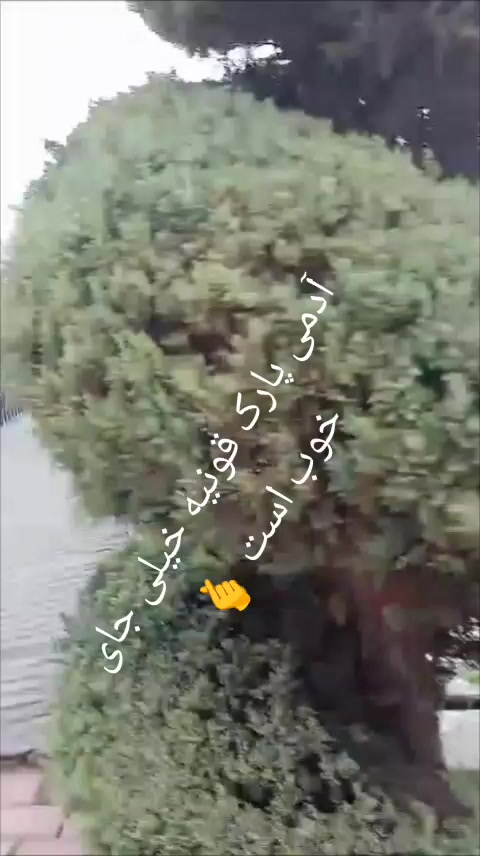 @buşra😍❤💖