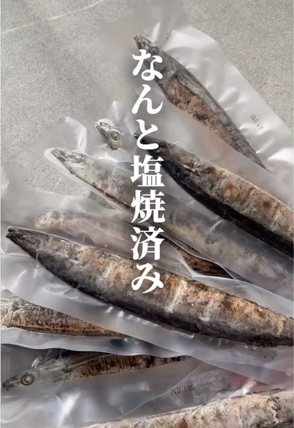 @mami頑張りすぎない人🦭