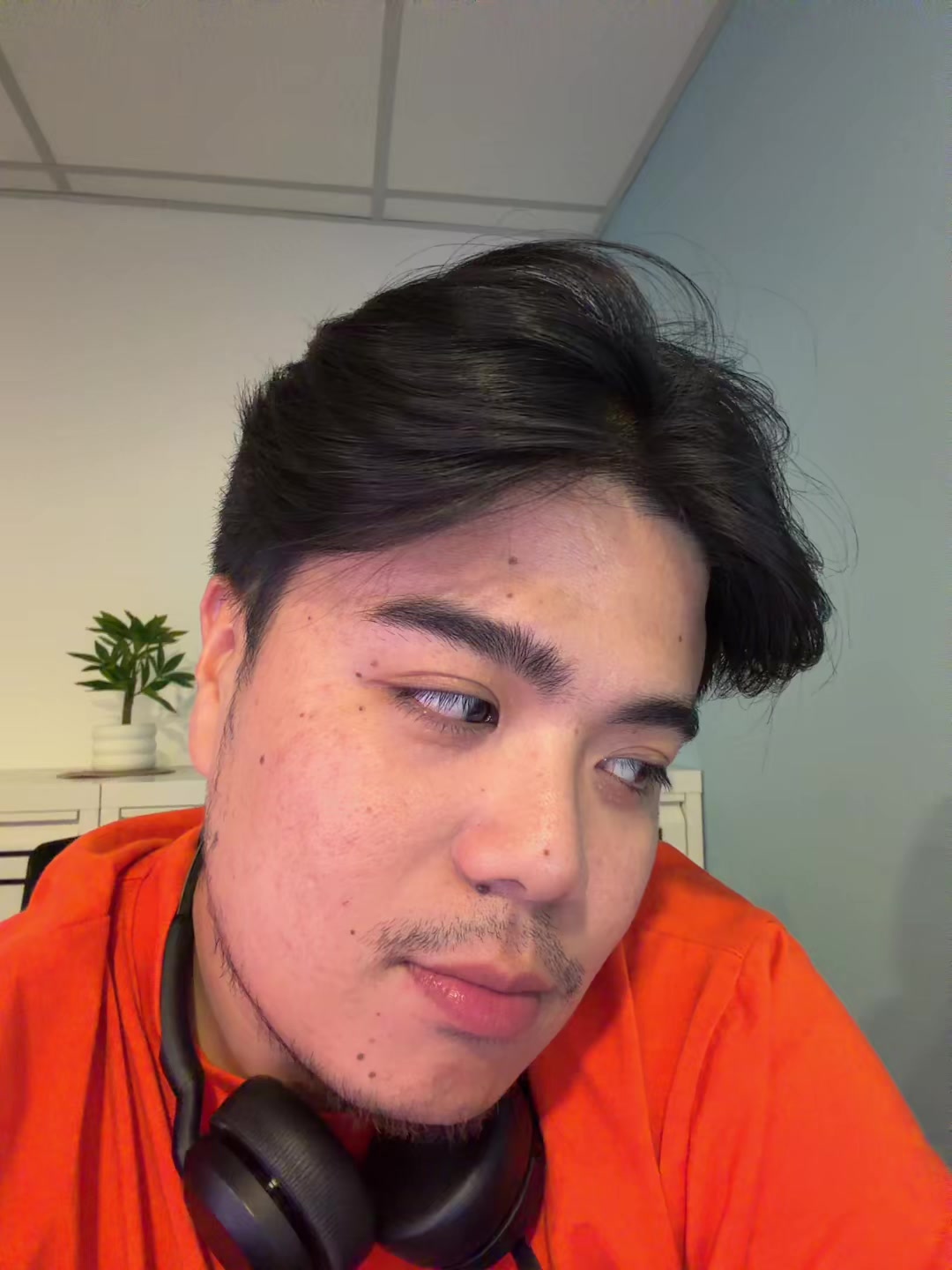 @ronmallarii