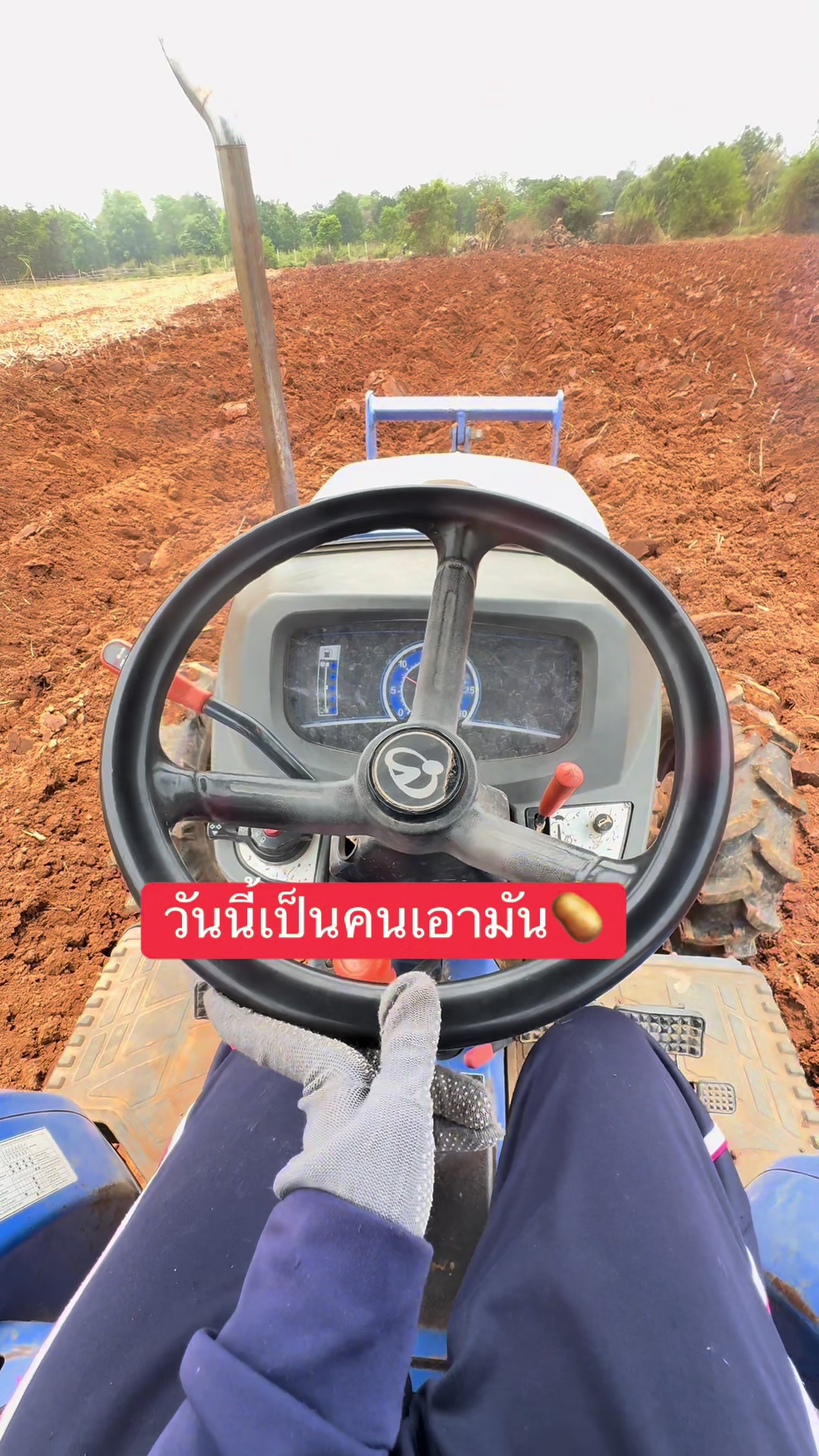 @KENGขายน้องวัว