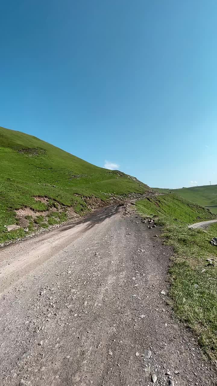 @tekogiorgadze