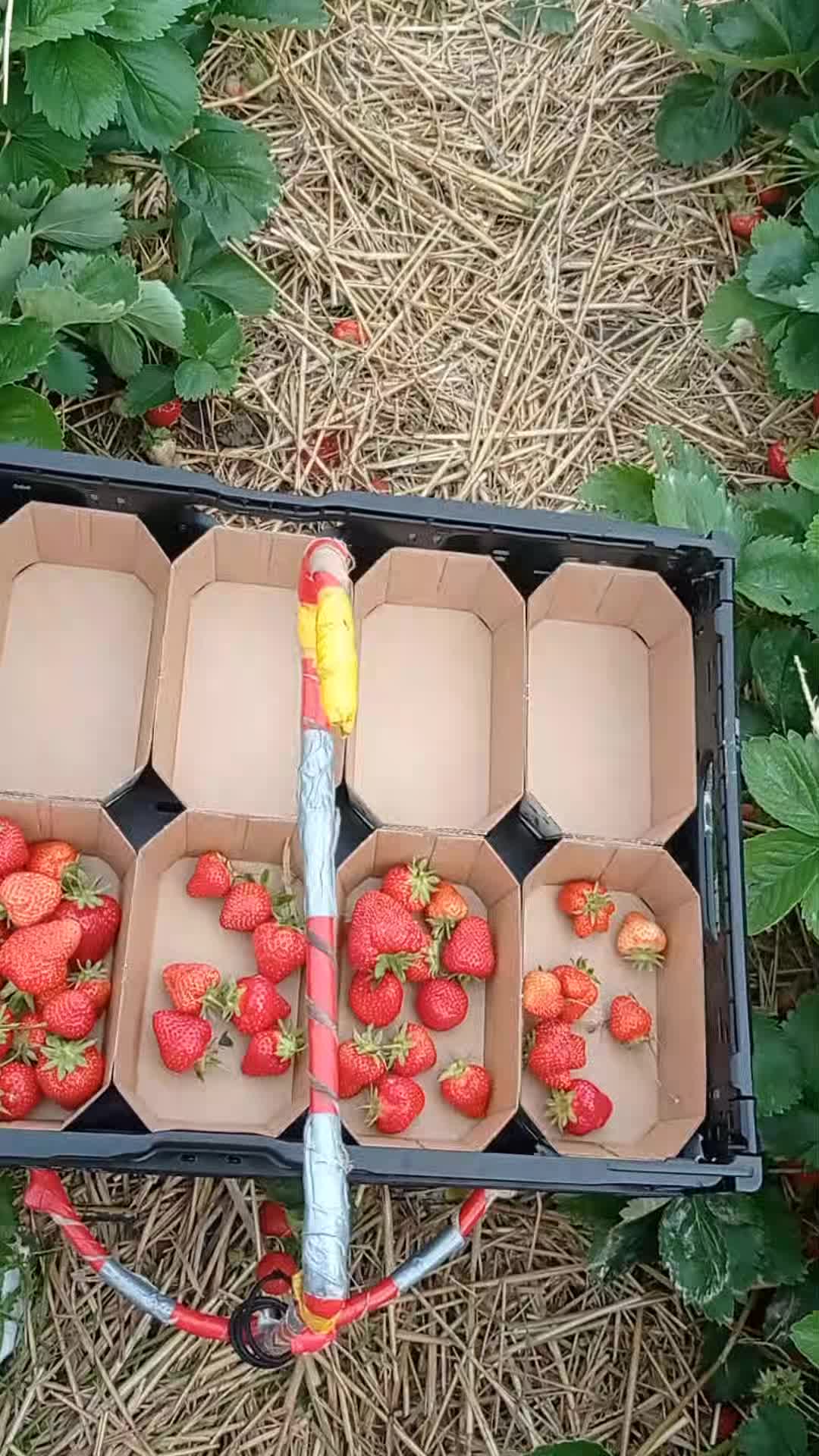 @Аня Мартинюк