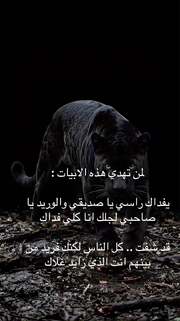 @ا꙰لـــــــ🇾🇪ـج☬👑ـوار🦅ح