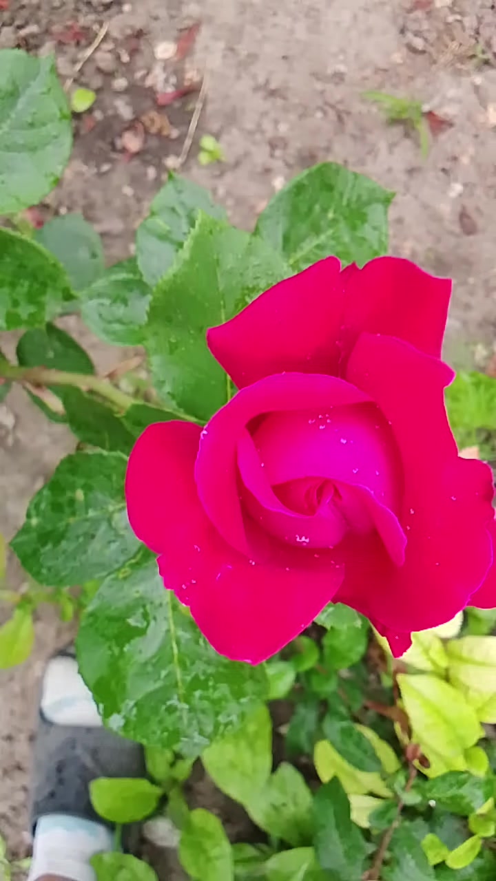@одна такая