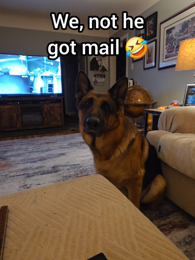 @BuddyandMikes Pal