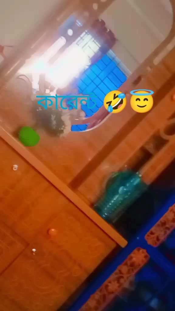 @❣️❣️ কুষ্টিয়ার মেয়ে ❤️❣️