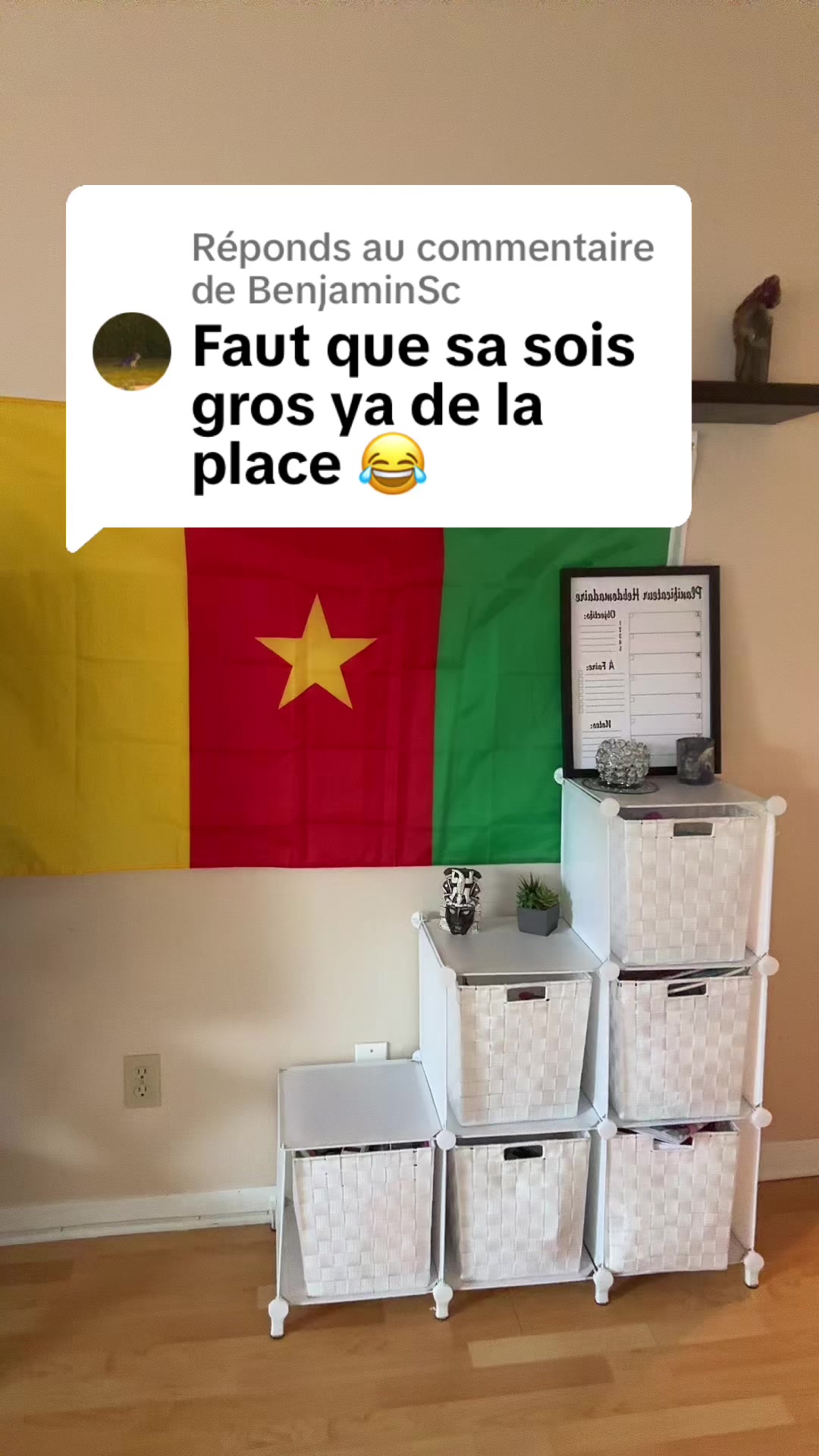 @LaRousse.Quebecoise🇨🇦❤️🇨🇲