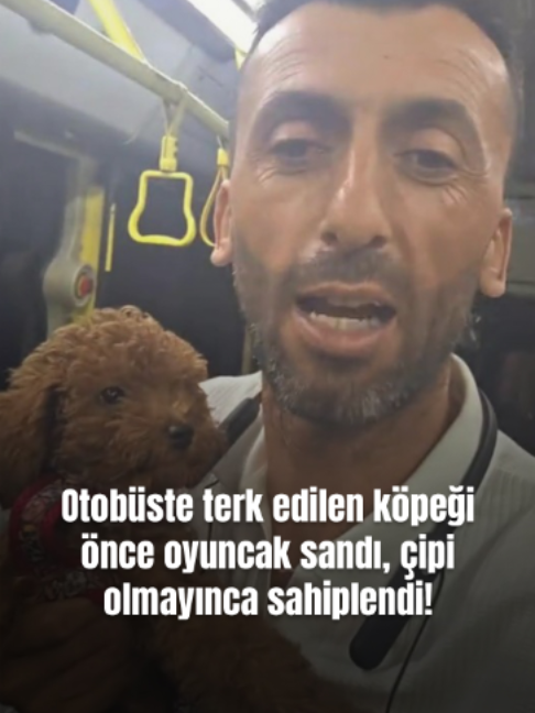 @Mynet