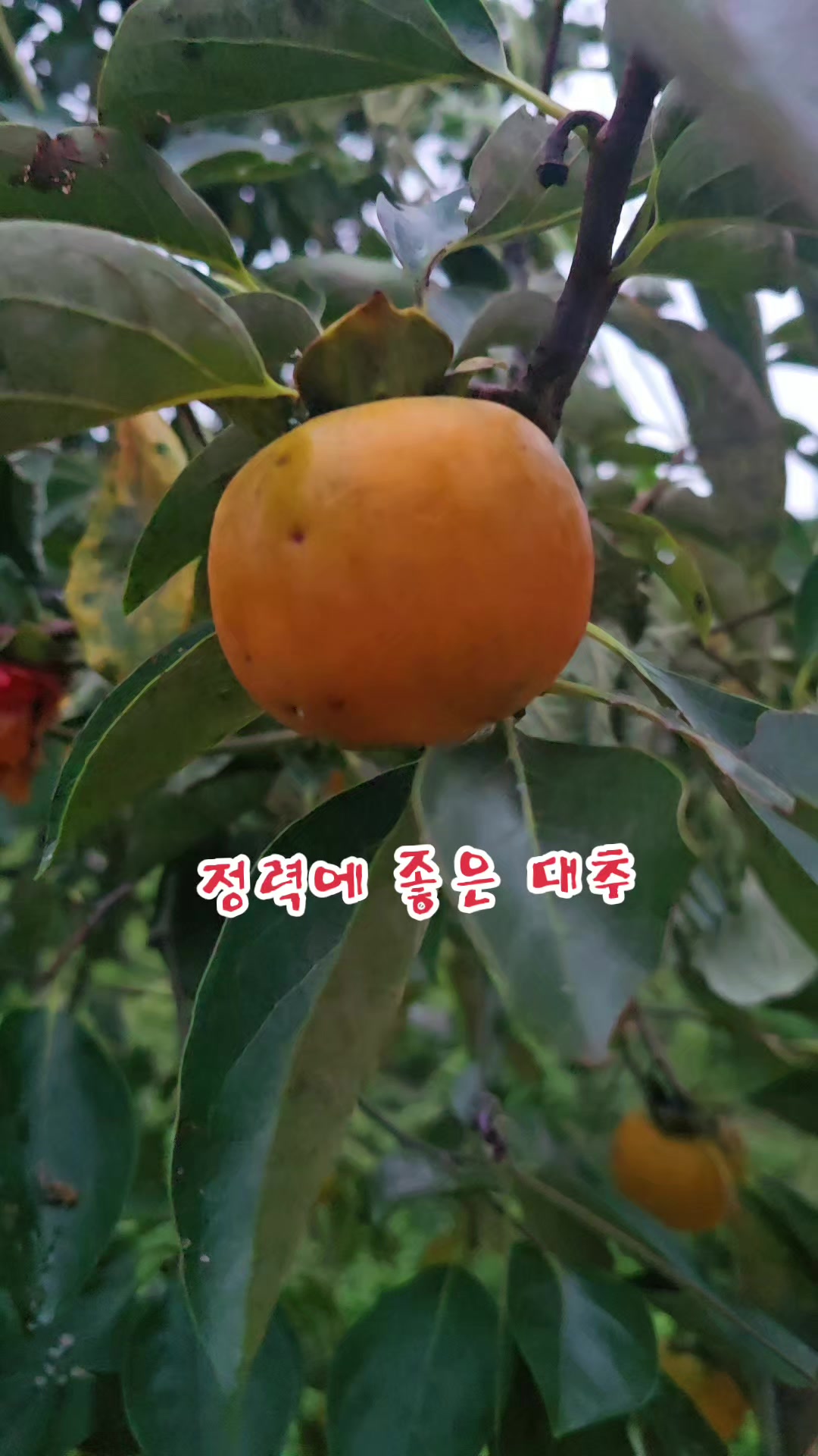 @나는 자연인이다 ~🤪