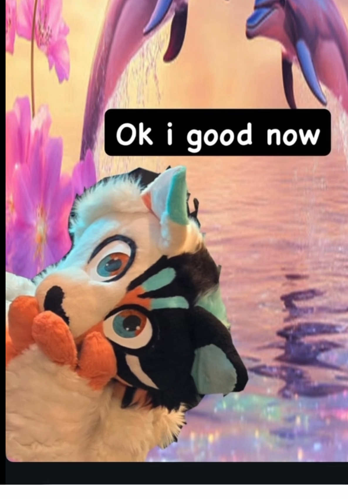 @🧶HƎЯO🙀