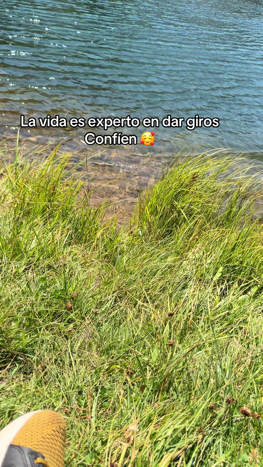 @olic802