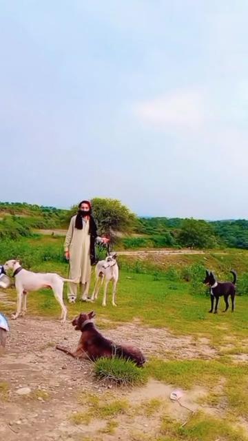 @Raja Mazhar