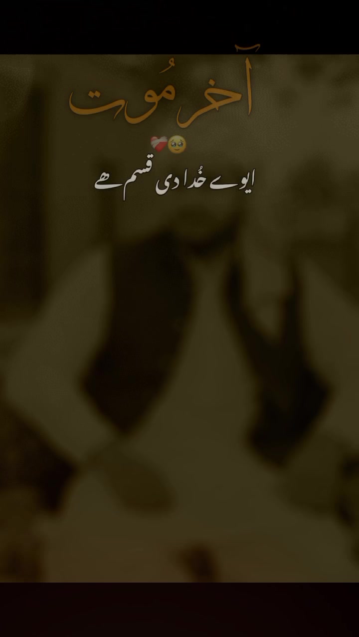 @💕 Murtaza Awan❤️