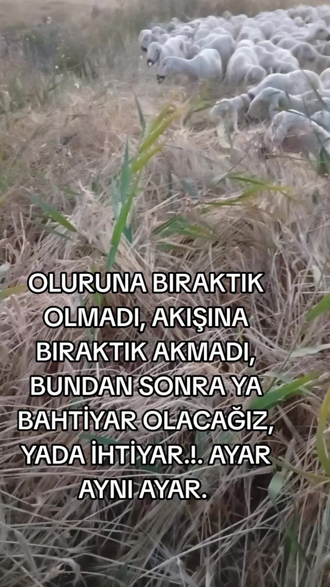 @HAYAL KEŞ