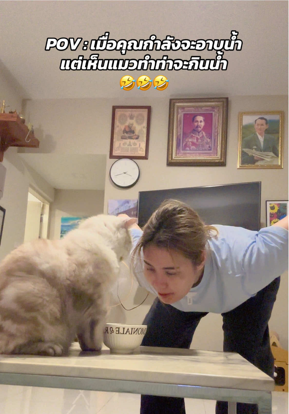 @Meowtiverse
