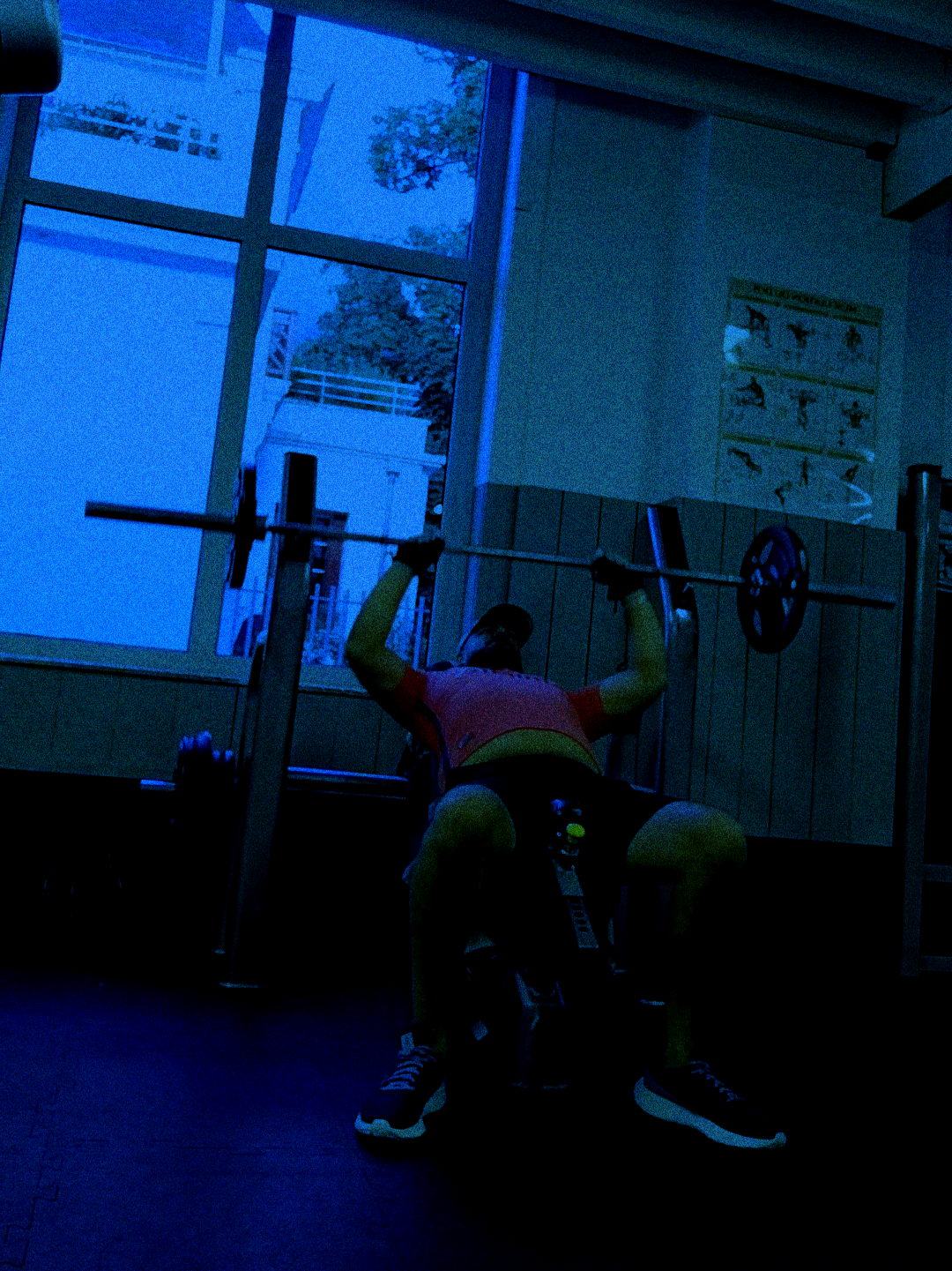 @🏋️🥊 Angelus 🎬🌹