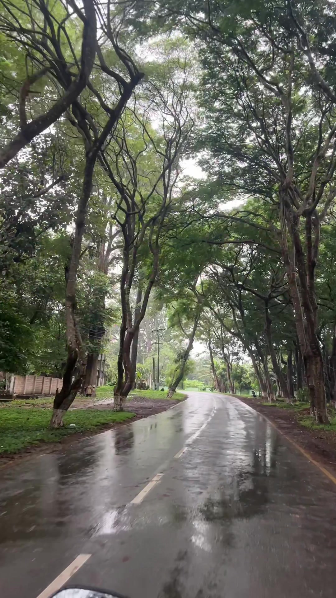 @Ei Shun Lei Kyaw