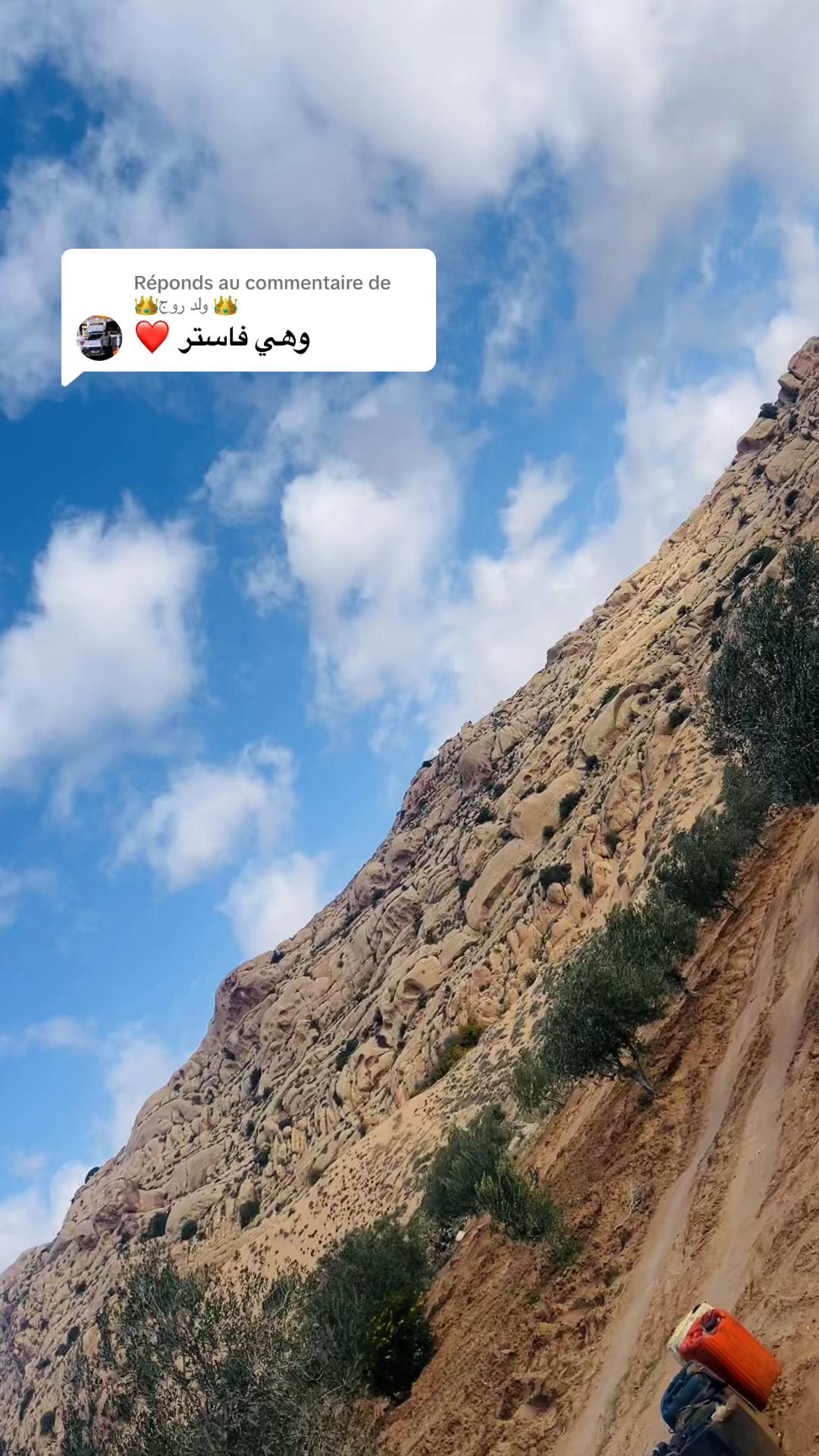 @Hama Farjallah 