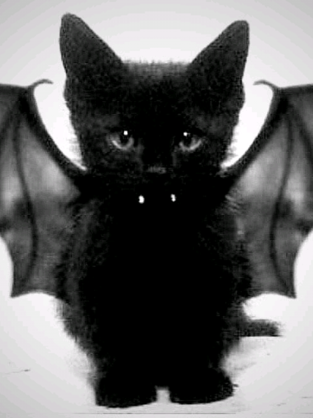 @𝜗𝜚𝑴𝒂𝒕𝒕𝒆𝒚୭ ᵎᵎ 🦇☆⋆.𐙚 ̊