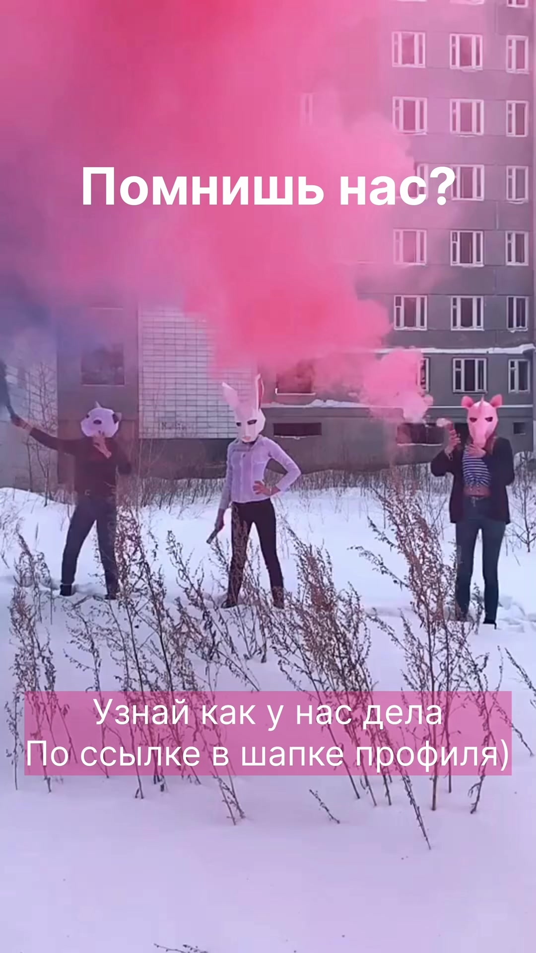 @m.tigra96