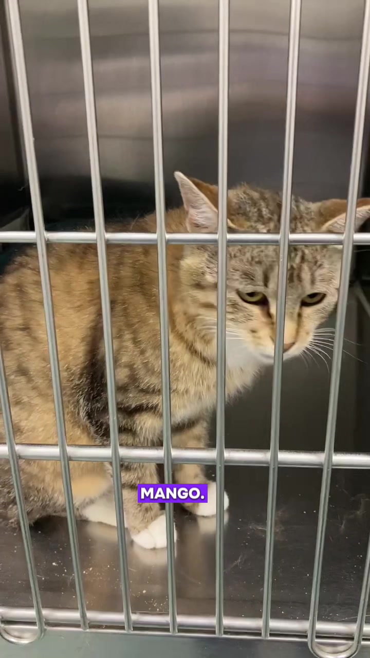 @ArlingtonAnimalHospitalsk