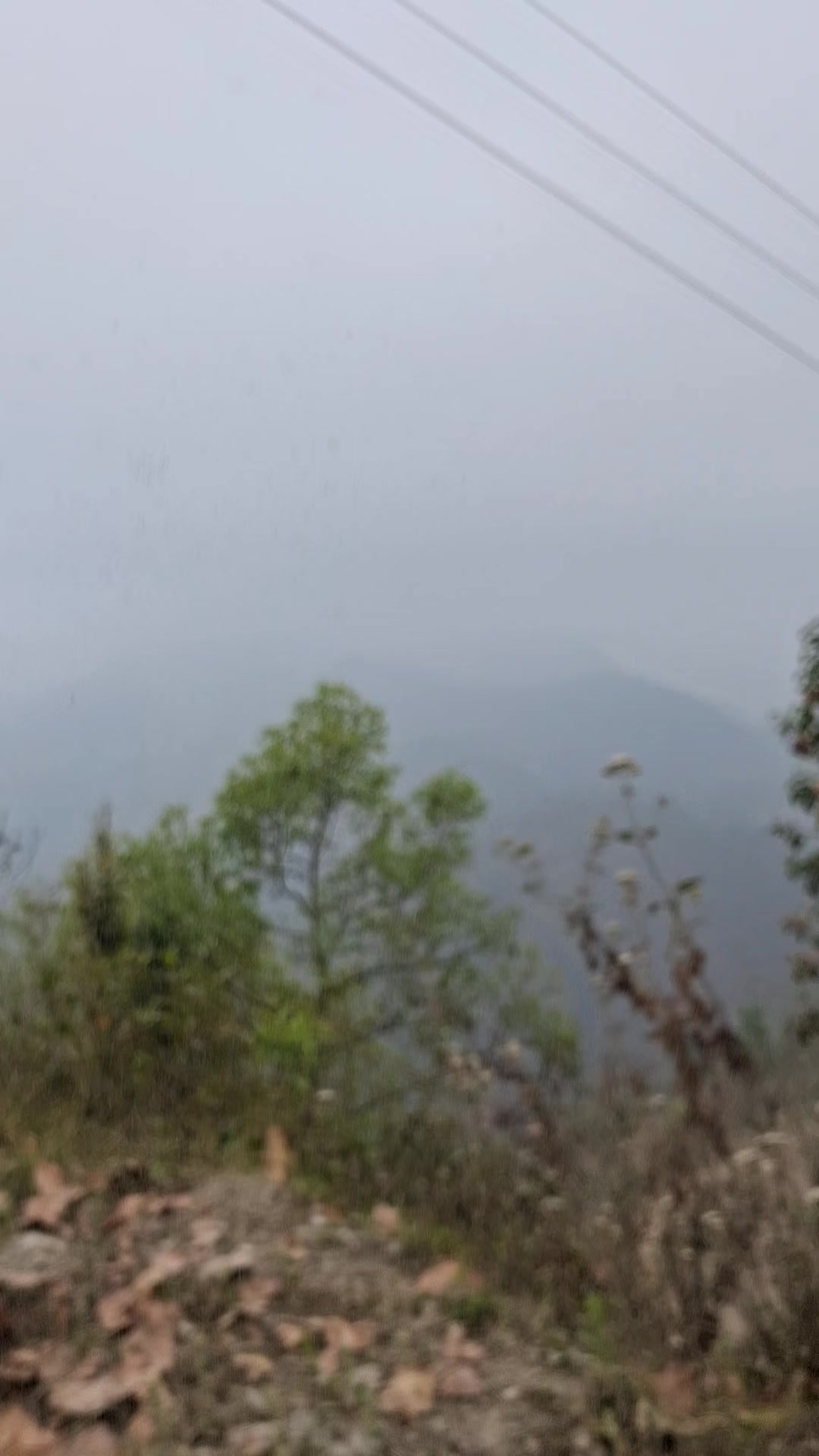@Dilu Thapa Magar