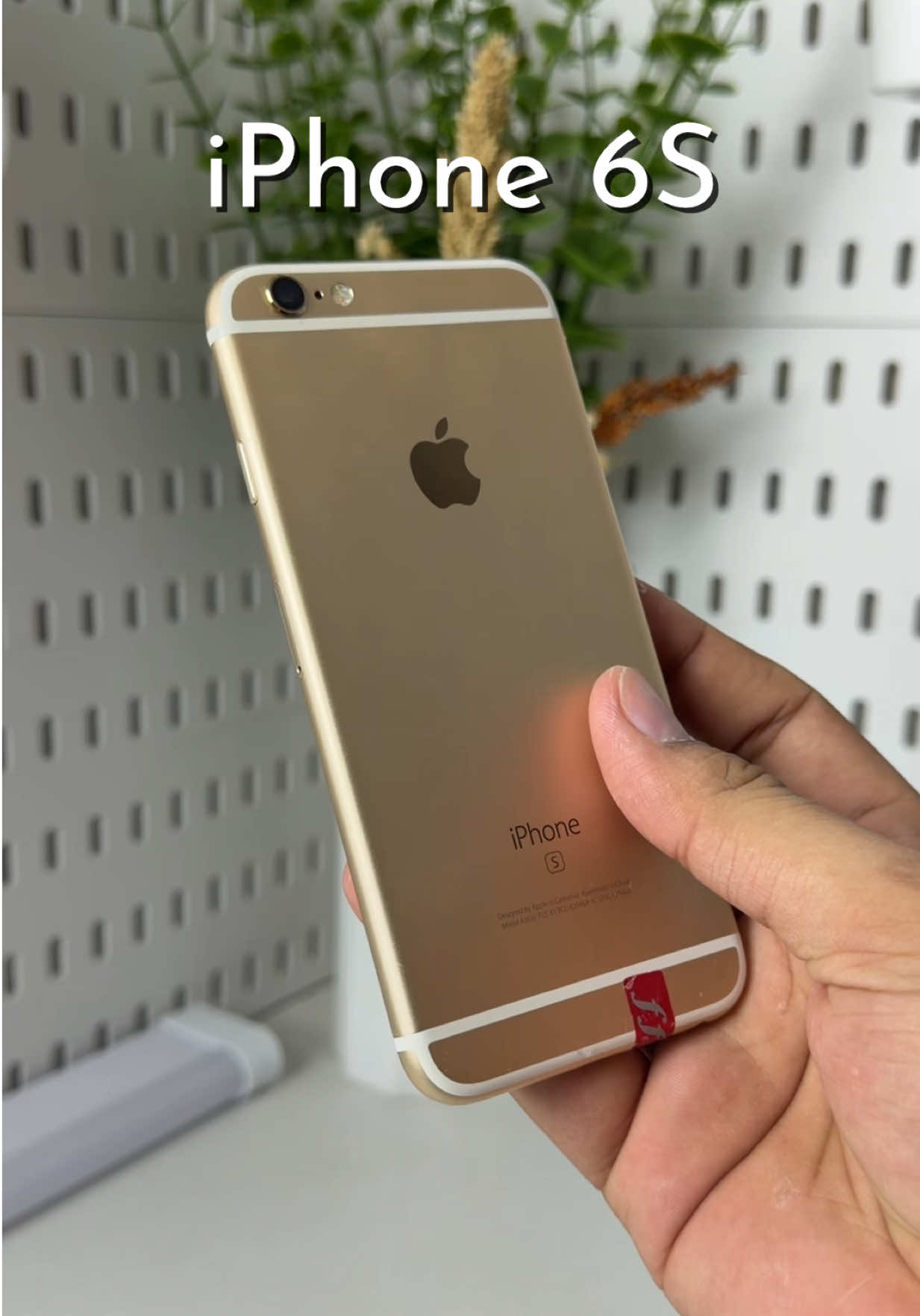 @iPhonary 🩷