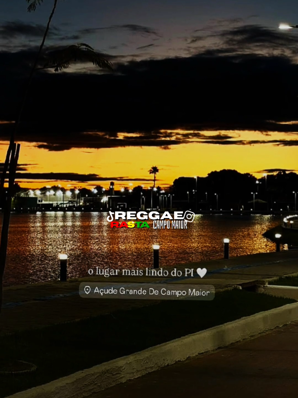 @REGGAE RASTA CM