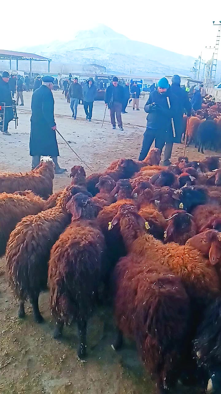 @🦅🔥ismail başeğmez.76🔥🦅