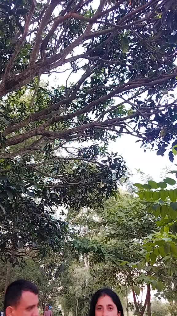 @surajaaku