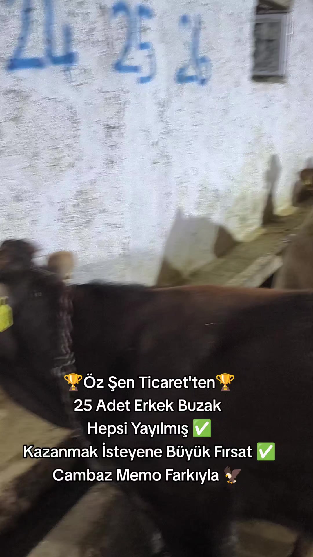 @👑Cambaz Memo Şen👑