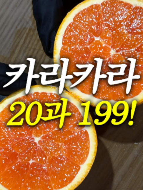 @해운대송사장