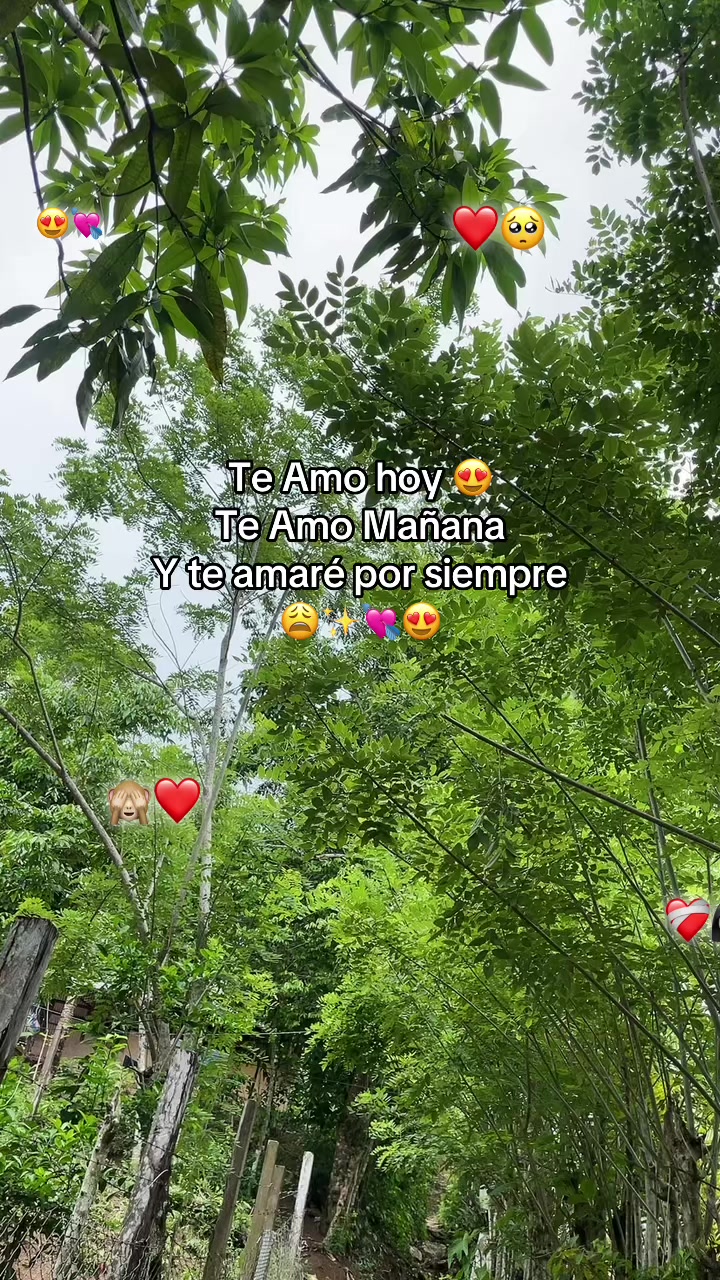 @💔FLORY.🤕T.B😫