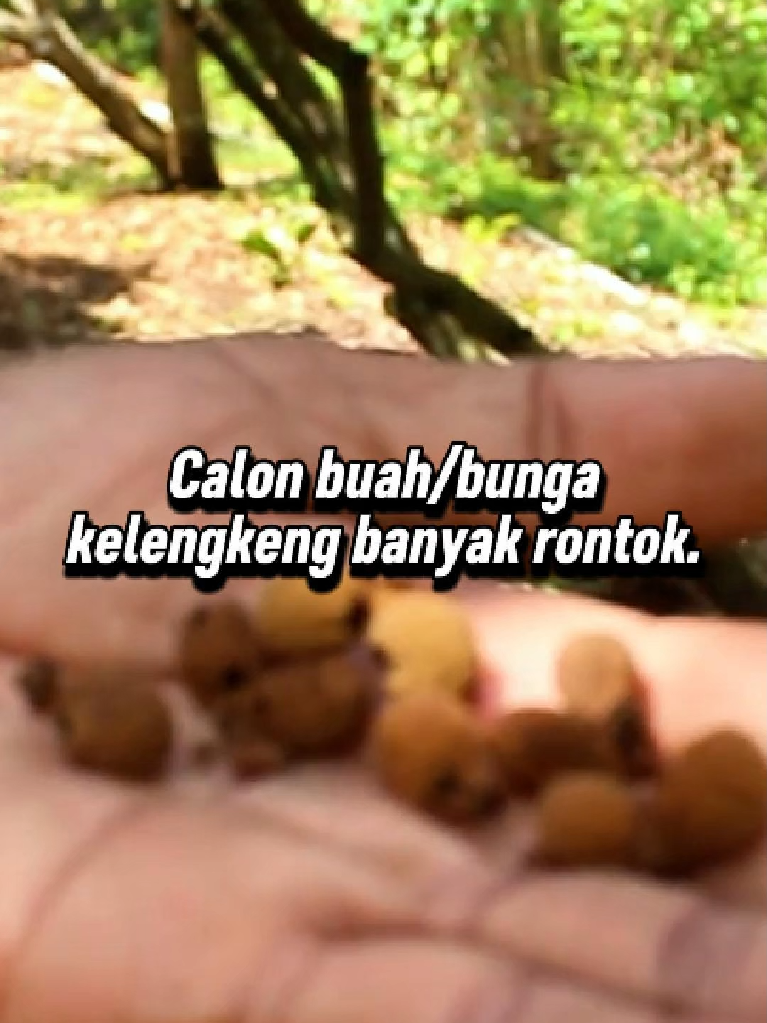 @adyrajalengkeng