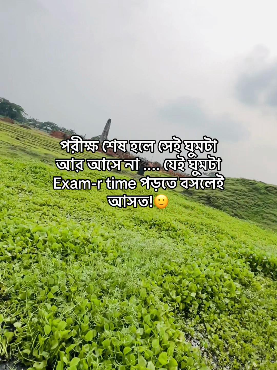 @টিক-টিকি