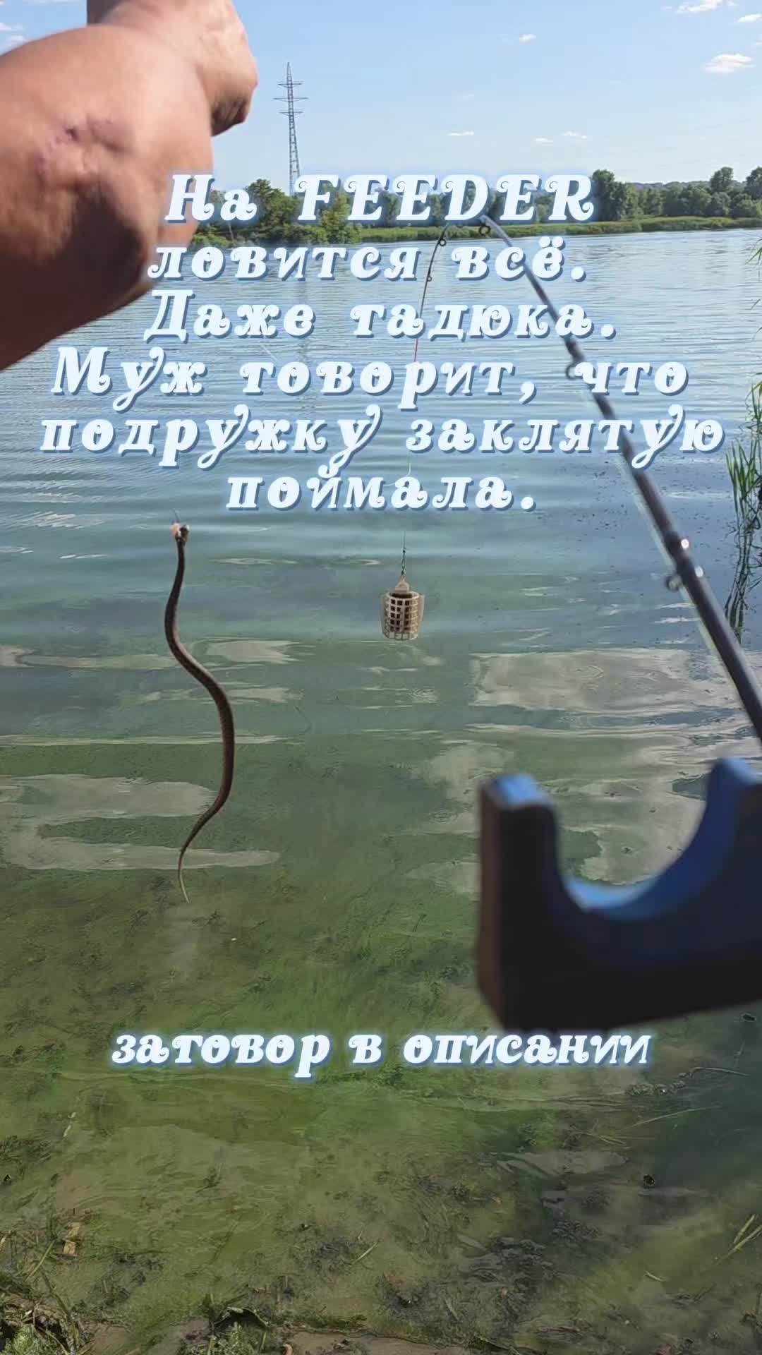@Агния Новикова🔆