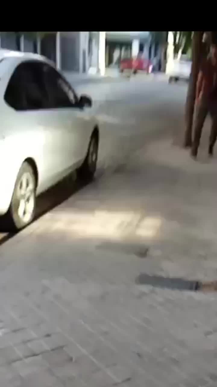 @los bandidos de argentina
