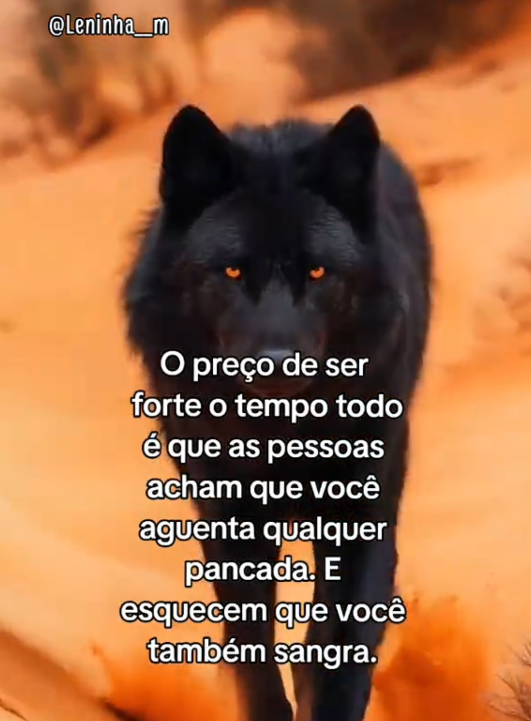 @Leninha___m