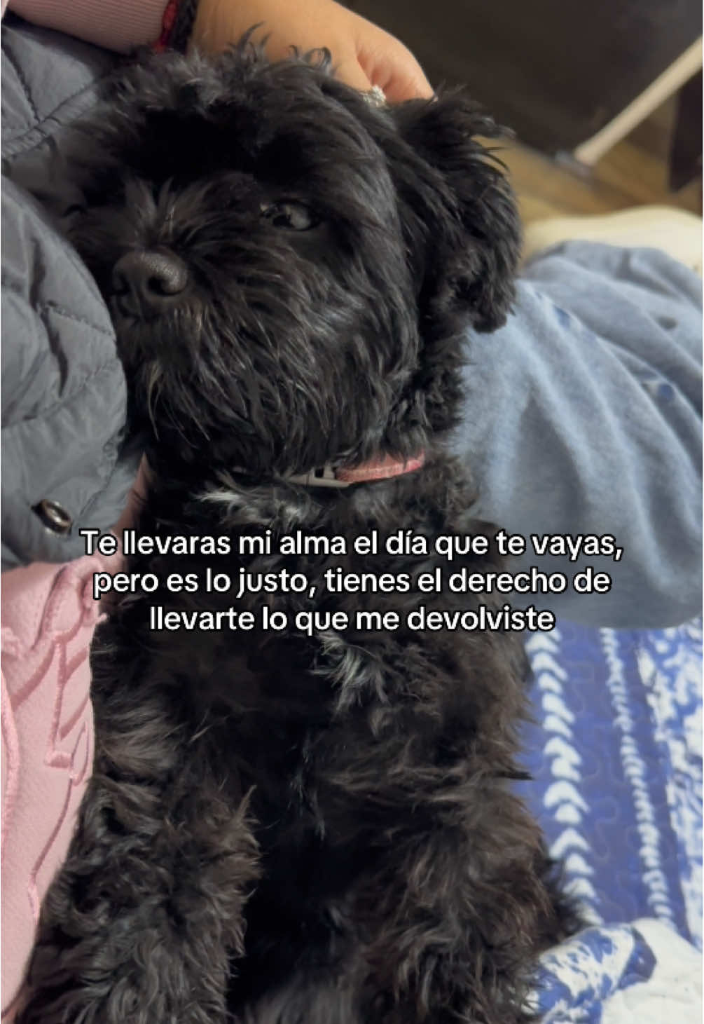 @camila 🖤