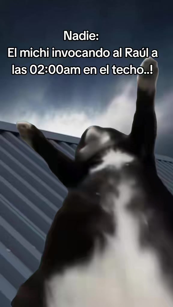 @Fer Rojas
