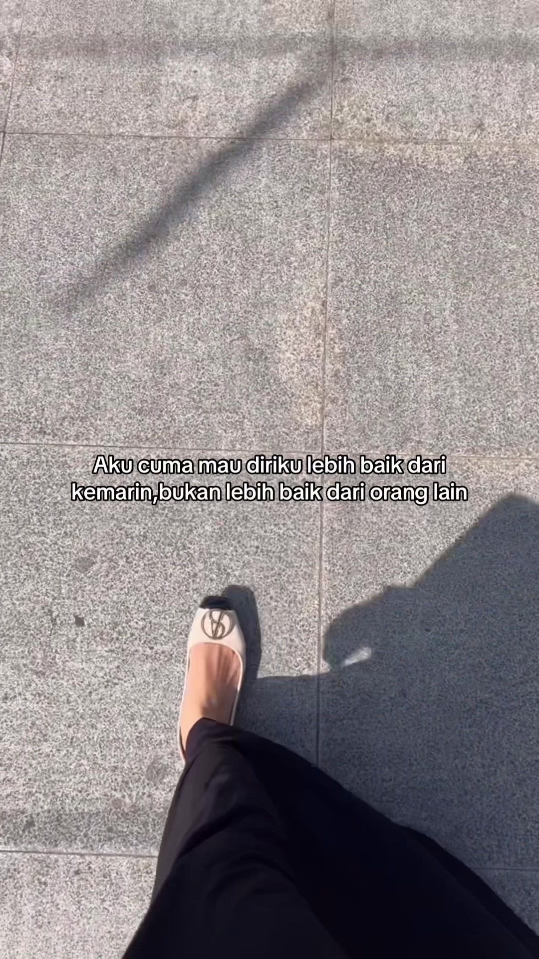 @805OLA