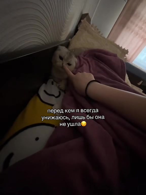 @NNN