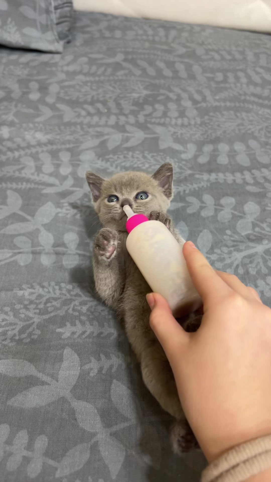 @лиза