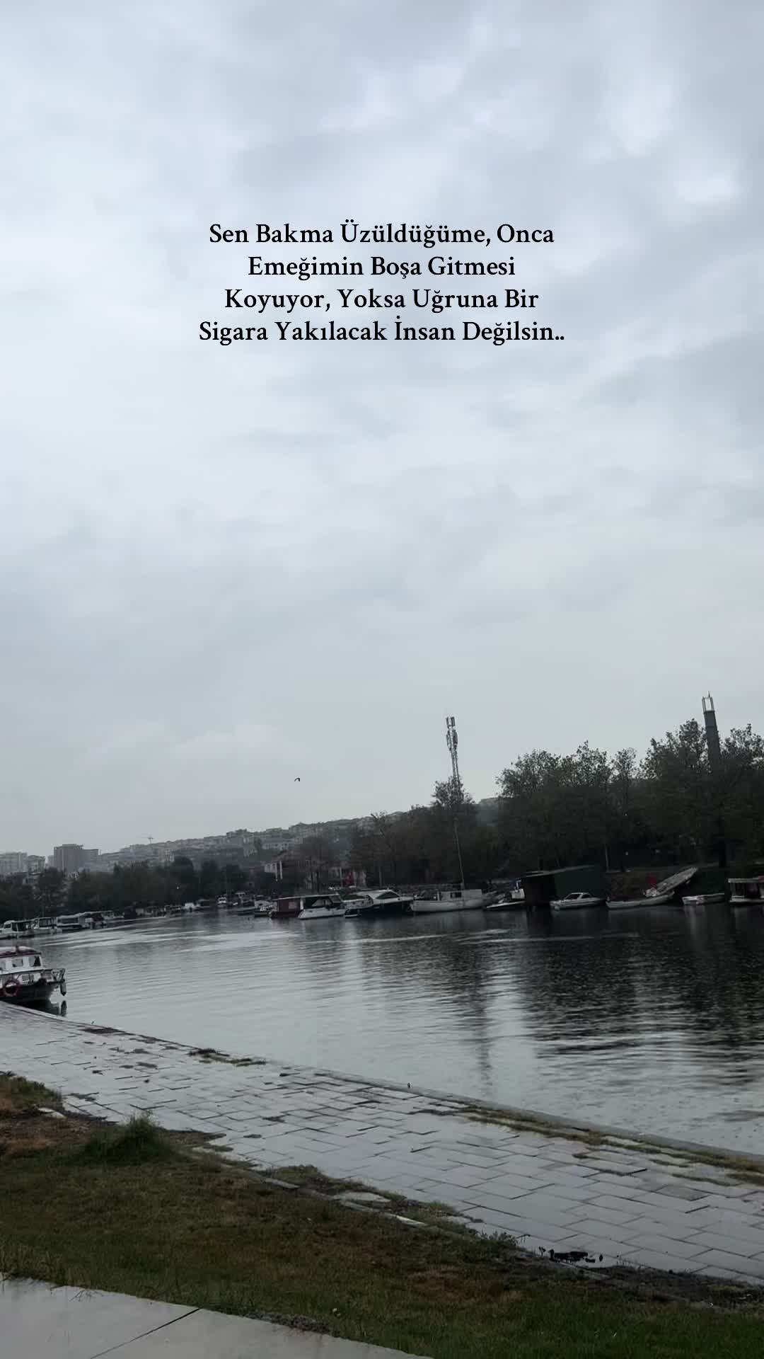 @Zilan kızılaslan