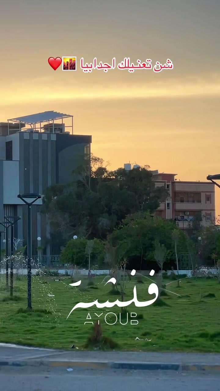 @ايوب فنشه