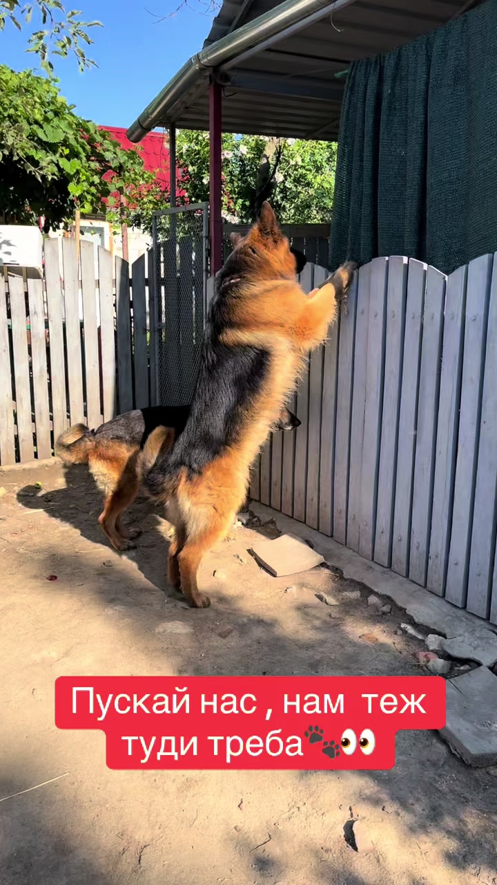 @Наташа Мазур.