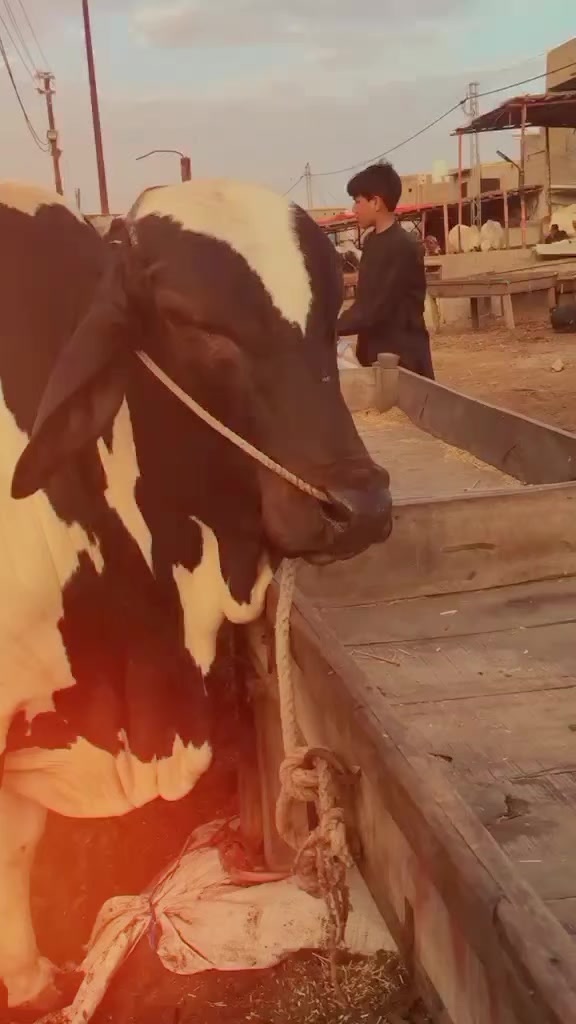 @ðððððððð¥ðŸðŒðððð