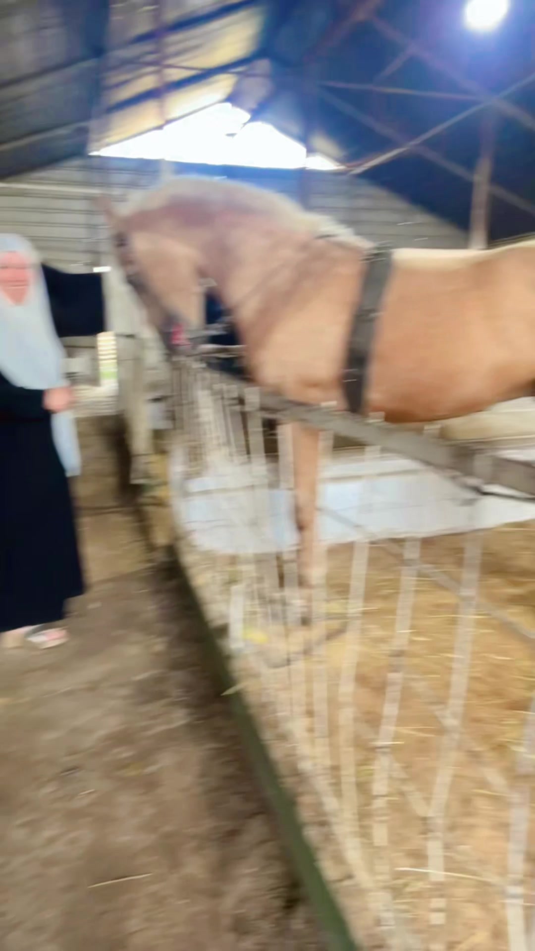 @Lyes الخيال